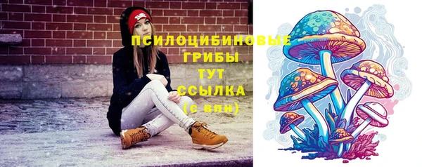 амф Протвино