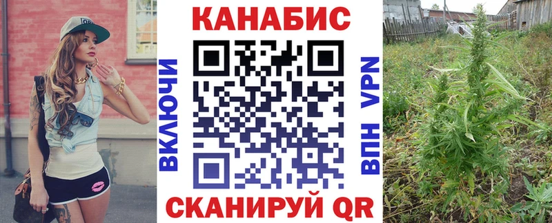 OMG tor  Усть-Катав  Канабис сатива 